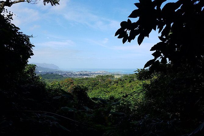 Downhill Bike and Ko'olau Waterfall Hike Tour - Safety, comfort, and who should think twice
