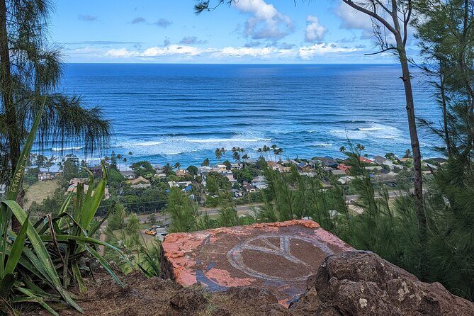 Famed North Shore Tour - Old Waialua Sugar Mill: Local Shops Without the Pressure