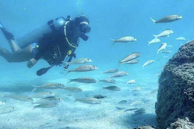 First-Time Scuba Diving in Honolulu + Free Videos - The Underwater Part: What You Actually Do (Up to 15 Feet)
