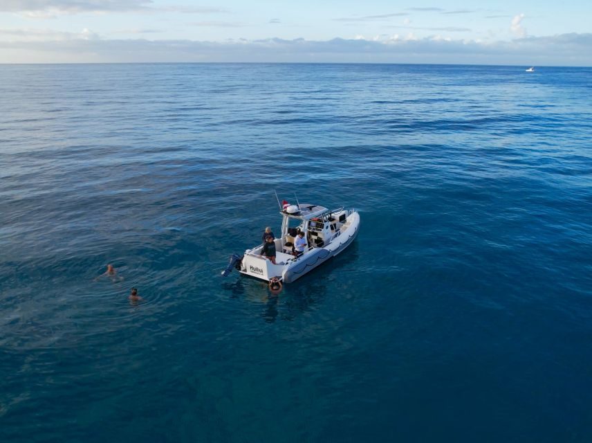 From Waikiki: Turtle Canyon Snorkeling Tour - Who should book this Turtle Canyon snorkel