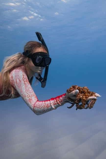 From Waikiki: Turtle Canyon Snorkeling Tour - FAQ