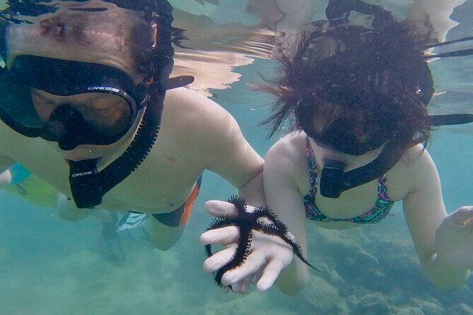 Guided Snorkel Tour for Beginners in Honolulu - How Much Does It Cost, and Is It Worth It?