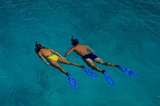 Half Day Oahu Combo Adventure: Bike, Sail and Snorkel - Tantalus bike ride: what downhill coasting actually feels like