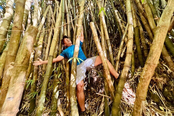 Half-Day Waterfall Tour - Hike, Scenic, Food and Photo - Rainforest walking: the part you actually need to be ready for