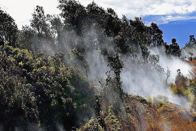 Hawaii Volcanoes National Park Experience from Kauai - Greenwell Farms coffee on Mauna Loa slopes: the Kona start that sets the tone