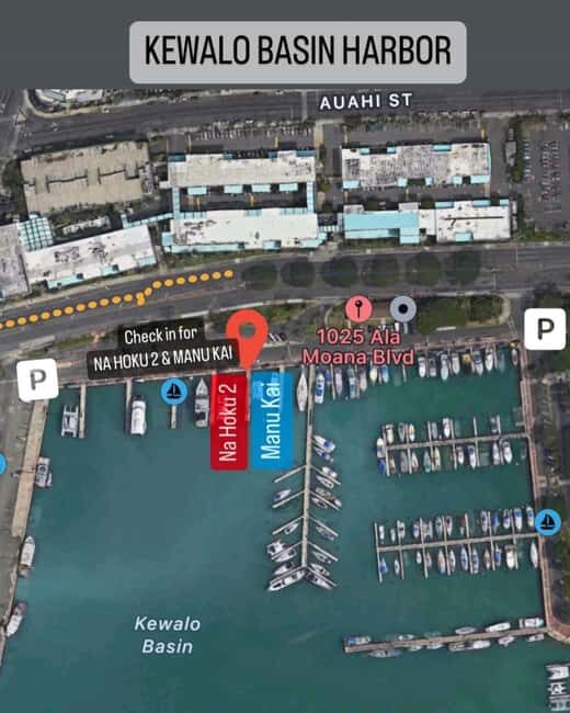 Honolulu: 1-Hour Friday Night Fireworks Cruise with Drinks - Practical Tips for a Smooth Friday Night