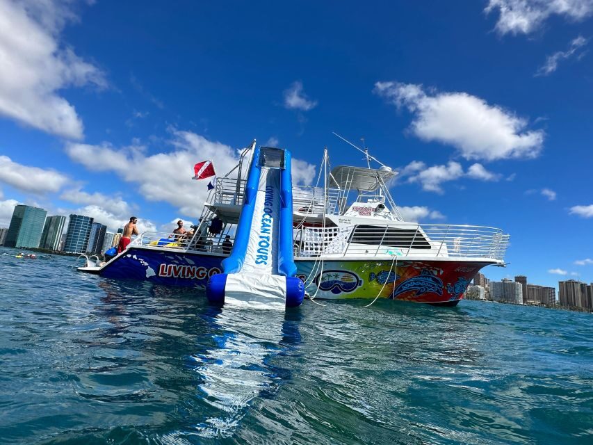 Honolulu: Deluxe Waikiki Snorkel and Wildlife Cruise - Getting to Kewalo Basin and starting at Pier B