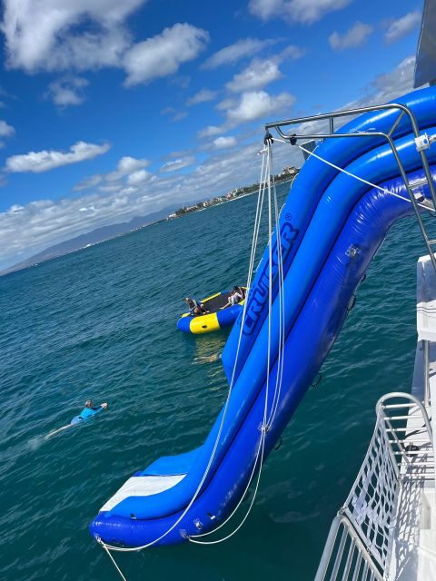 Honolulu: Deluxe Waikiki Snorkel and Wildlife Cruise - Wildlife cruise toward Diamond Head: what to watch for and when
