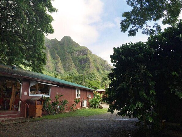 Majestic Circle Island Tour with Lunch - Why a Circle Island Loop Works So Well From Waikiki
