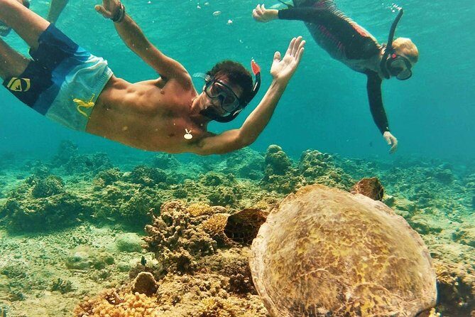 Oahu Circle Island Tour with Turtle Snorkeling— Small-Groups - The value of an 8-hour island loop from Waikiki