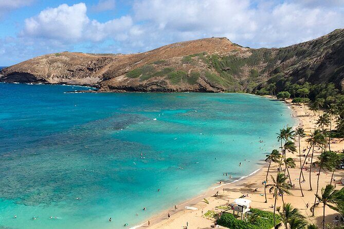 Oahu Grand Circle Island and Haleiwa Tour: 9-Hr Deluxe Experience - The macadamia stop that also works as a break: Tropical Farms Outlet