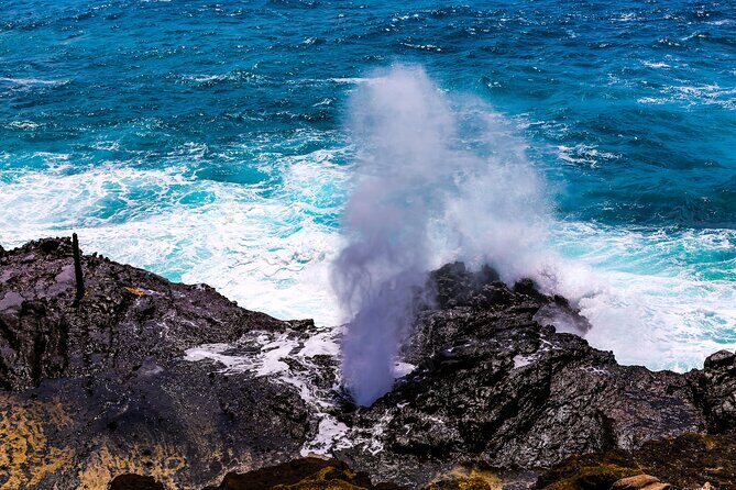 Oahu Grand Circle Island and Haleiwa Tour: 9-Hr Deluxe Experience - North Shore drive-by views and the surf-beach window moments