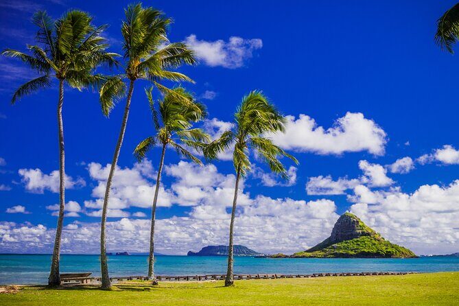 Oahu Grand Circle Island and Haleiwa Tour: 9-Hr Deluxe Experience - Dole Plantation: the pineapple story plus DoleWhip