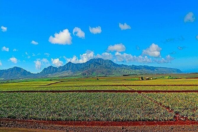 Oahu Grand Circle Island Experience from Waikiki - Diamond Head viewpoint: lighthouse history and ocean panoramas