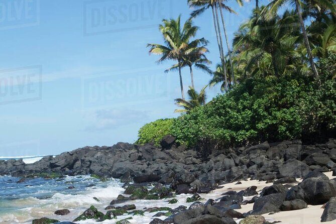 OAHU GRAND CIRCLE Waimea Waterfall, Turtle Beach, North Shore. - Turtle Bay Beach: a quick stop with sea turtles in mind