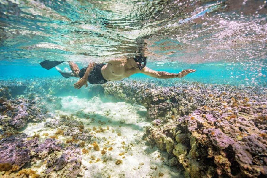 Oahu : Hanauma Bay Reservation+Equipment Rental - What the $70 covers: admission plus a full snorkel kit