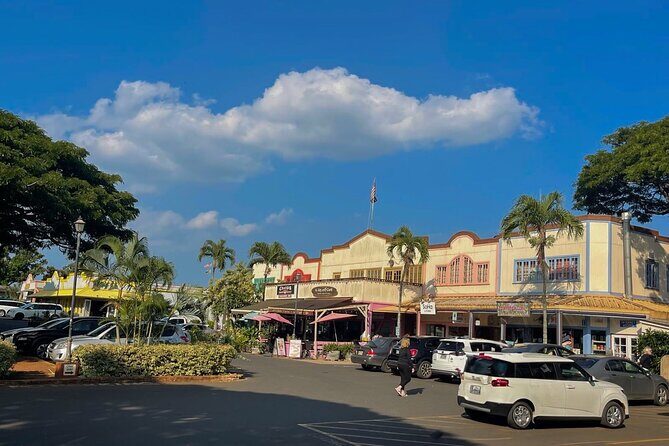 Oahu Private Tour North Shore, Waimea Falls and Dole Plantation - Dole Plantation: pineapple power, from train to maze