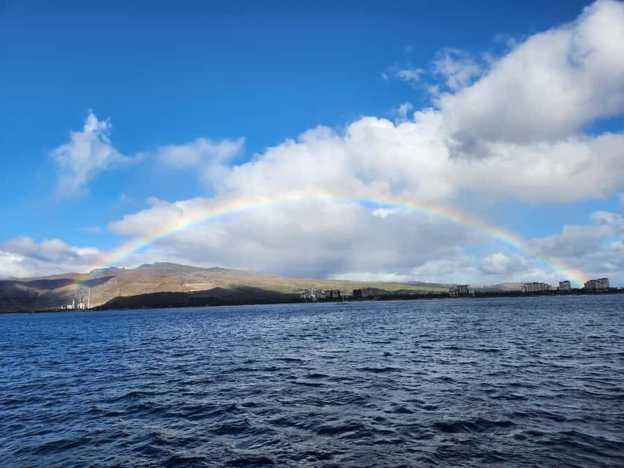 Oahu: Snorkeling & Dolphin Watch Cruise w/ Luau Style Buffet - Dolphin and whale spotting: what the guarantee actually buys you