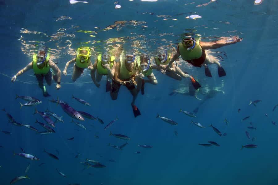 Oahu: Snorkeling & Dolphin Watch Cruise w/ Luau Style Buffet - Duration and cruise options: morning, afternoon, and sunset timing