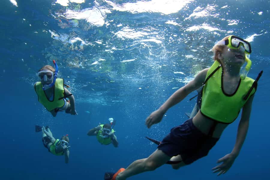 Oahu: Snorkeling & Dolphin Watch Cruise with Hawaiian Buffet - Snorkeling with turtles on O‘ahu’s reef: how the guided part works