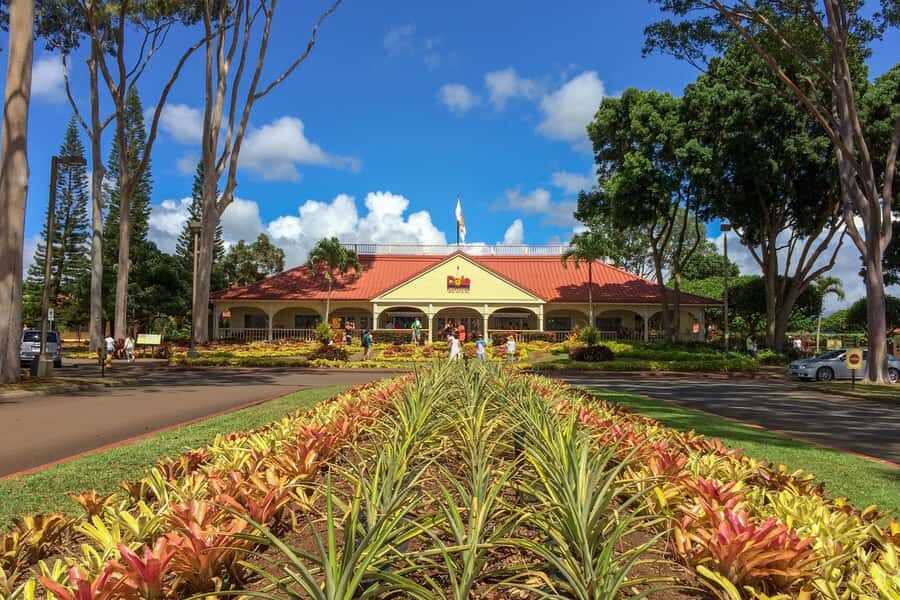 Oahu: Ultimate Pearl Harbor and Circle Island Tour - World War II Valor Stops and the USS Arizona Memorial Experience