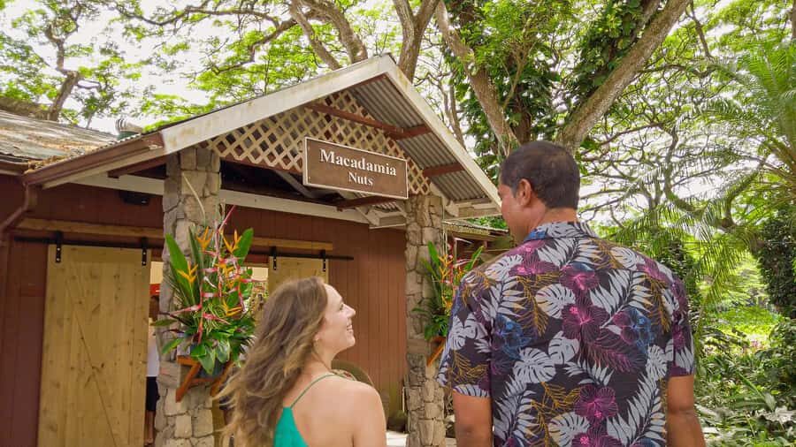Oahu: Ultimate Pearl Harbor and Circle Island Tour - Nuʻuanu Pali Lookout and Halona Blowhole: Cliffs, Wind, and Ocean Drama