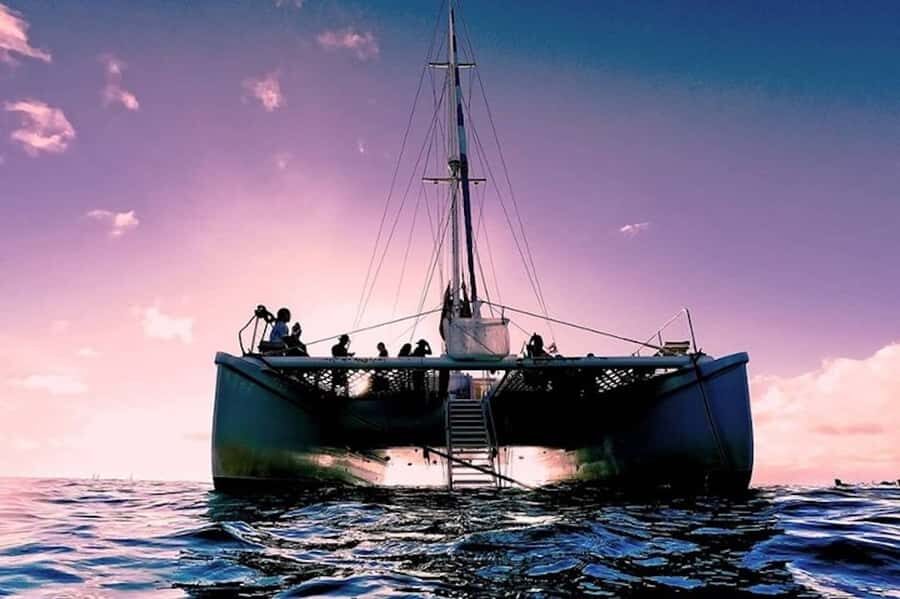 Oahu: Waikiki Sunset Catamaran Sail and Swim - Price and value: why $49 can make sense