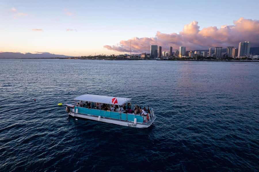 Oahu: Waikiki Whale Watch Boat Tour - Waikiki’s 2-hour whale watch, without the hassle