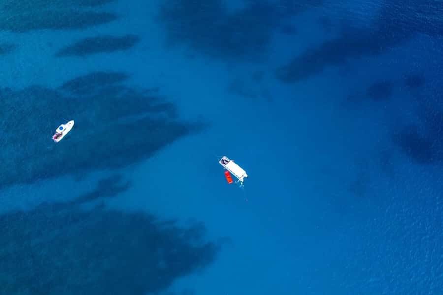 Oahu: Waikiki Whale Watch Boat Tour - Boarding the 40 ft catamaran: what you’re actually paying for