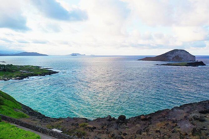 Oahu's Ultimate Tour: Dole, Turtle Snorkel, Pali Lookout & More - Why This Circle-Island Day Works When You’re Short on Time