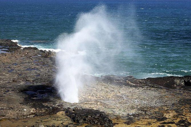 Oahu's Ultimate Tour: Dole, Turtle Snorkel, Pali Lookout & More - Makapu’u Views and the “No Bus Stops Here” Surf Reality