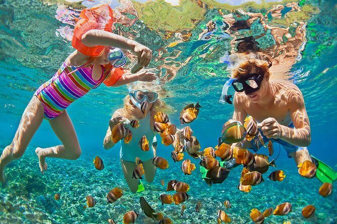 Oahu's Ultimate Tour: Dole, Turtle Snorkel, Pali Lookout & More - The Morning Rhythm: 7:00 AM Start and a 10–12 Hour Reality