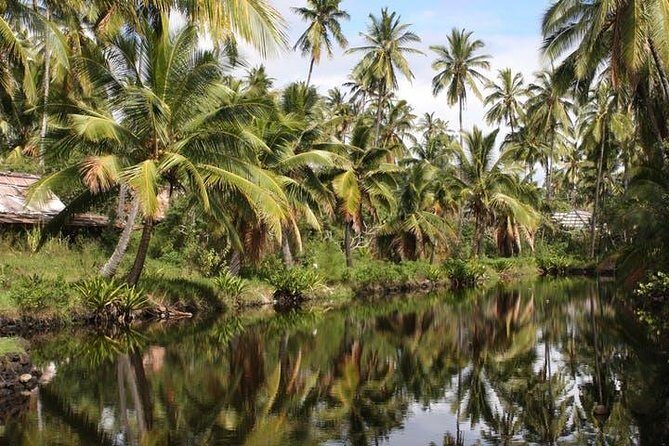 One-Day Tour Hawaii Movie Tour: Island Hopping from Oahu to Kauai - Price and Logistics: The Real Cost Is the Alarm