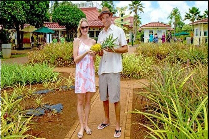 Pearl Harbor, Dole Plantation, and Polynesian Center from Kauai - Key highlights worth knowing before you go