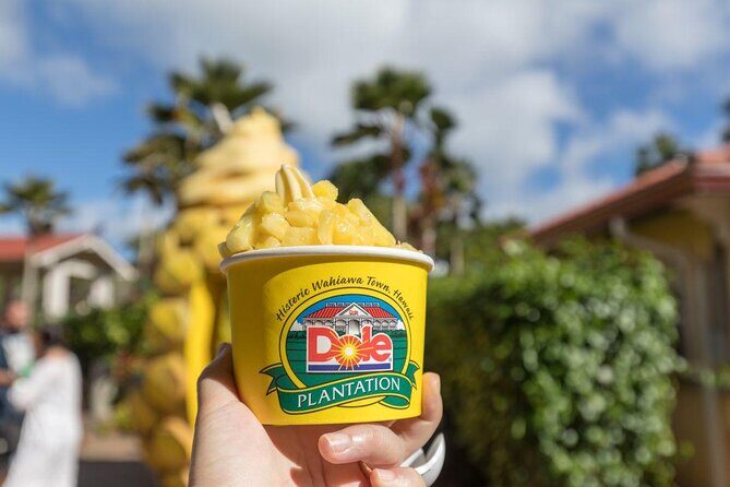Pearl Harbor, Dole Plantation, and Polynesian Center from Kona - Dole Plantation in one hour: Dole Whip, stores, and Rainbow Eucalyptus