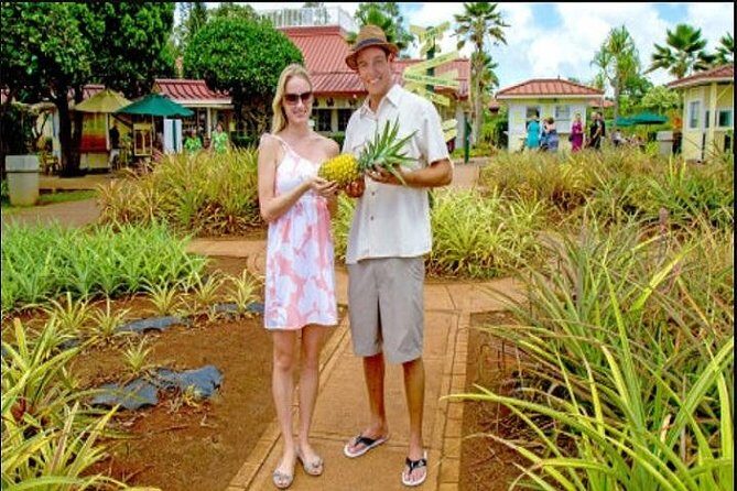 Pearl Harbor, Dole Plantation, Polynesian Center from Waikiki - Morning Pickup in Waikiki: How to Avoid the Usual Stress