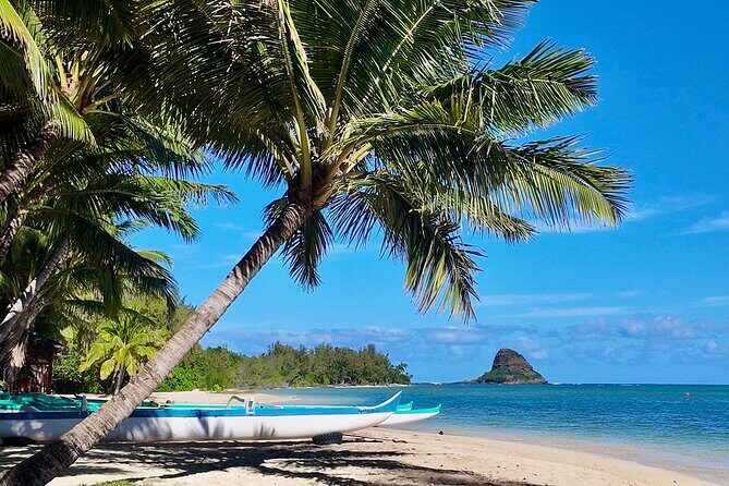 Private Circle Island Tour-Oahu-Customizable - Kahala, then Hanauma Bay: iconic crater views with one big catch