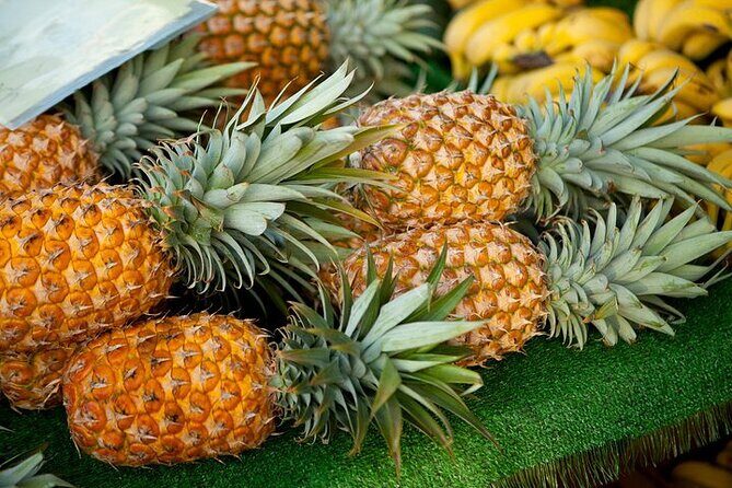 Private Customizable Grand Circle Island Tour on Oahu - Price and value: what $230 buys you in real life