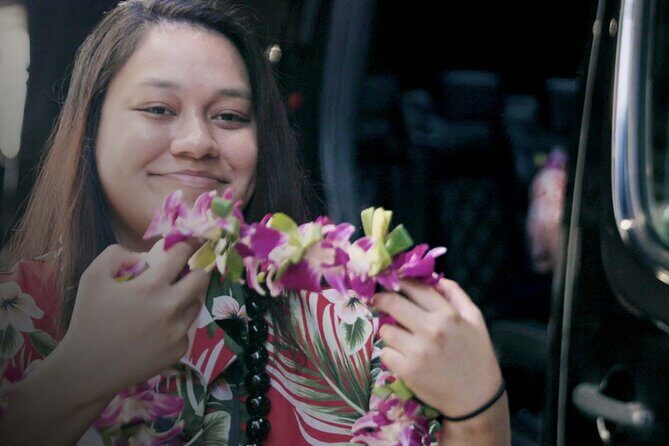 Private Round-Trip Transfer: Honolulu International Airport to Hotel or Cruise Terminal - Luggage Limits and What to Do If You Have More