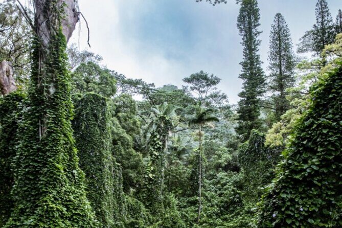 PRIVATE TOUR-Hike Diamond Head & Hawaiian Waterfall - Diamond Head State Monument crater hike for 360-degree views