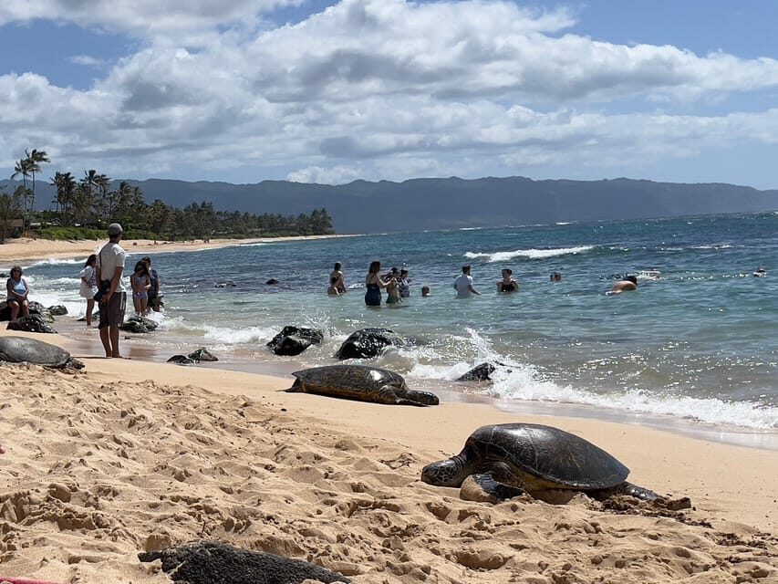 Private Tour Oahu-Circle Island-Customizable - Comfort and Extras: the Honda Odyssey setup that keeps the day sane