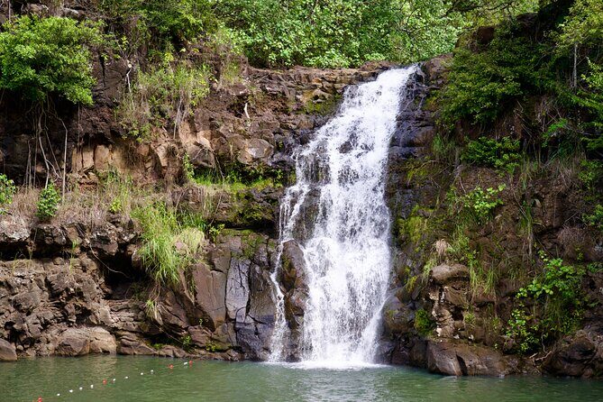 Private Tour Oahu including Waimea Waterfall-Customizable - Hale‘iwa Beach Park: sea turtles, coast views, and easy photo time