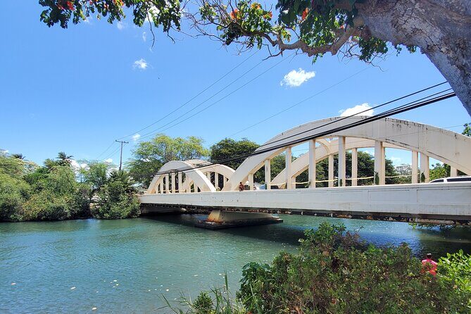 Round Trip North Shore Shuttle from Waikiki to Haleiwa Town / Haleiwa Harbor - Haleiwa Town and Haleiwa Boat Harbor: using your time well
