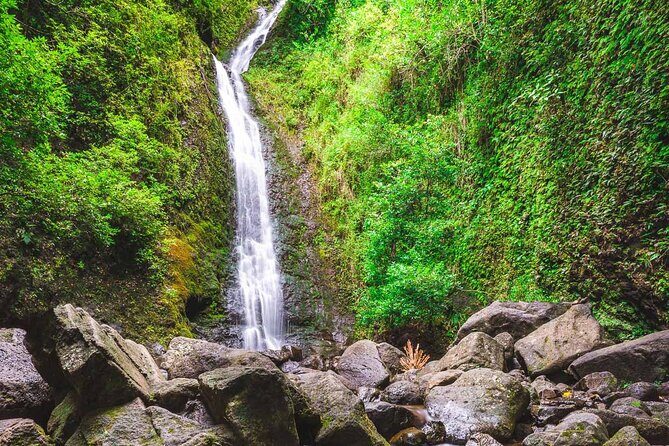 Self Guided Hike Trail to Nature Walk & Waterfall - Why Manoa Falls and Tantalus Make a Great One-Pass Oahu Plan