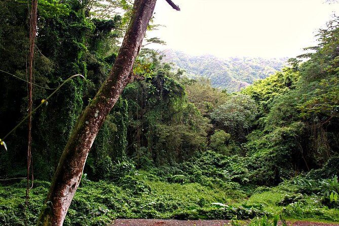 Self Guided Hike Trail to Nature Walk & Waterfall - Scenic Stops and Valley Stories: Why This Part Feels More Personal