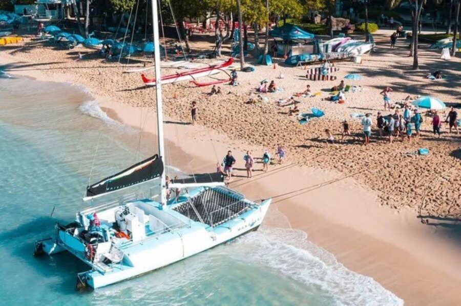 Waikiki Beach: Turtle Snorkeling and Sailing on Hāwea - Key Highlights to Know Before You Go